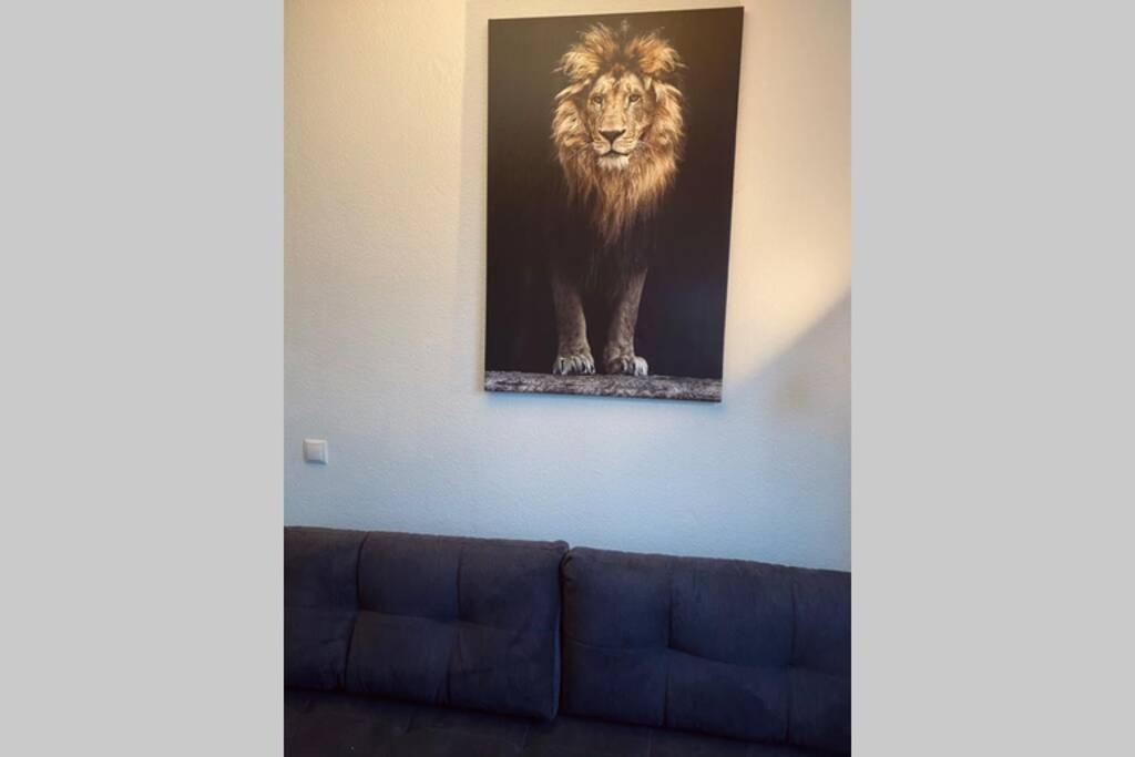 Comfortable New Apartment In #Koblenz# Direkt Am Rhein 科布倫茨 外观 照片